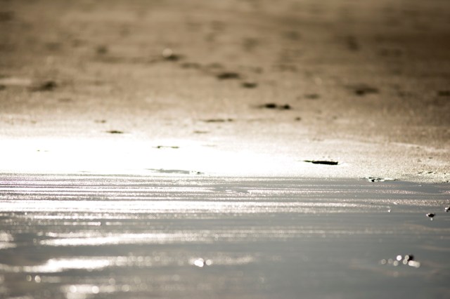 7E1CA7E0-4EB6-4B8A-B4BE-BAAF033D563D